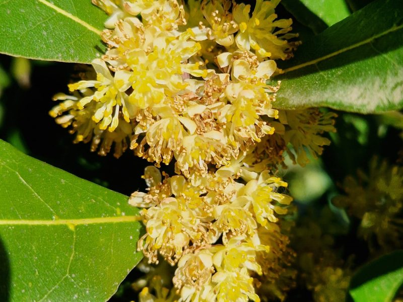 PHOTO-2024-05-04-22-13-12